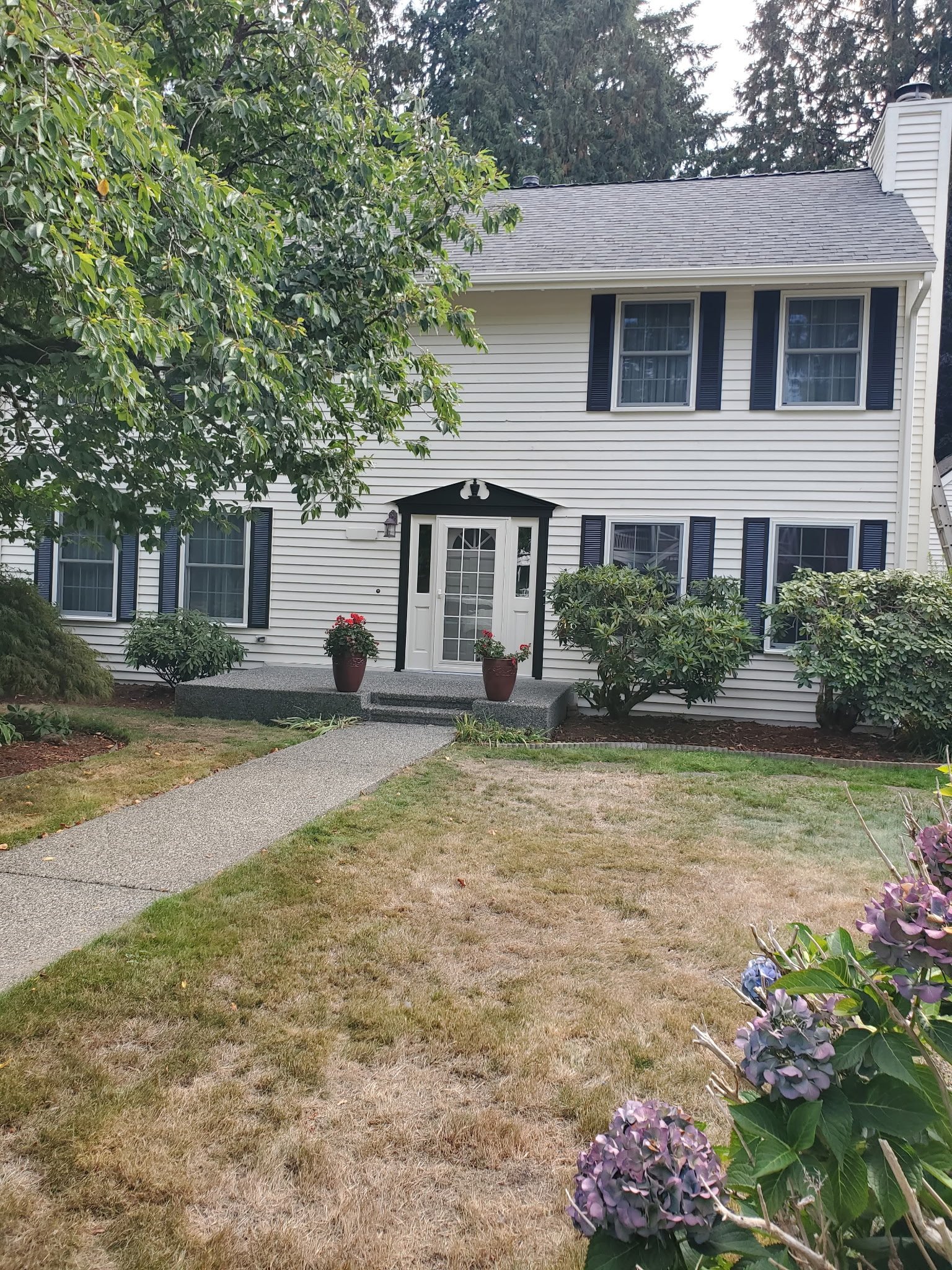 Roofline and trim