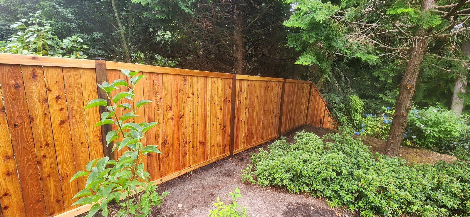 Recent project photo